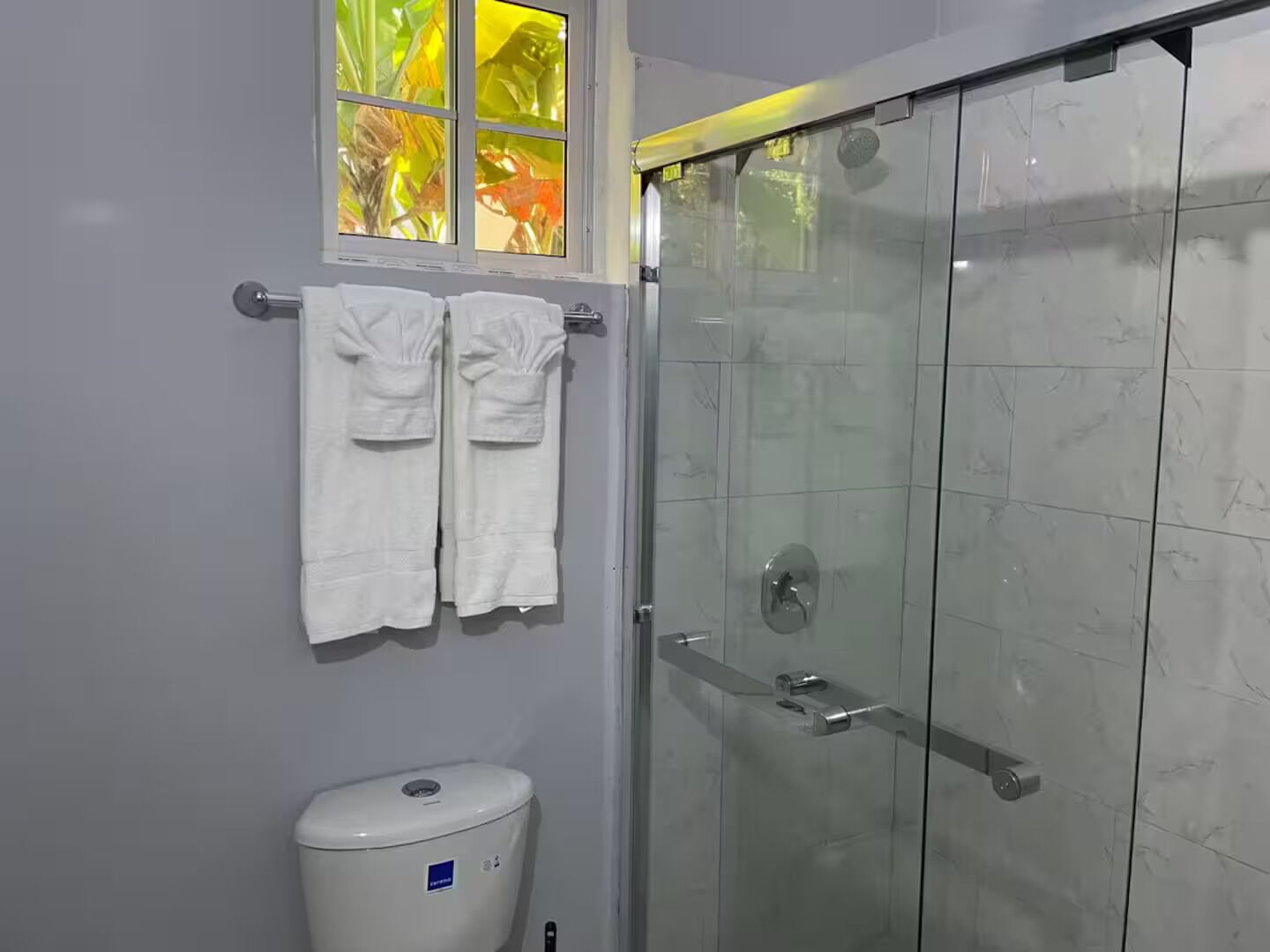 Shower, hair dryer