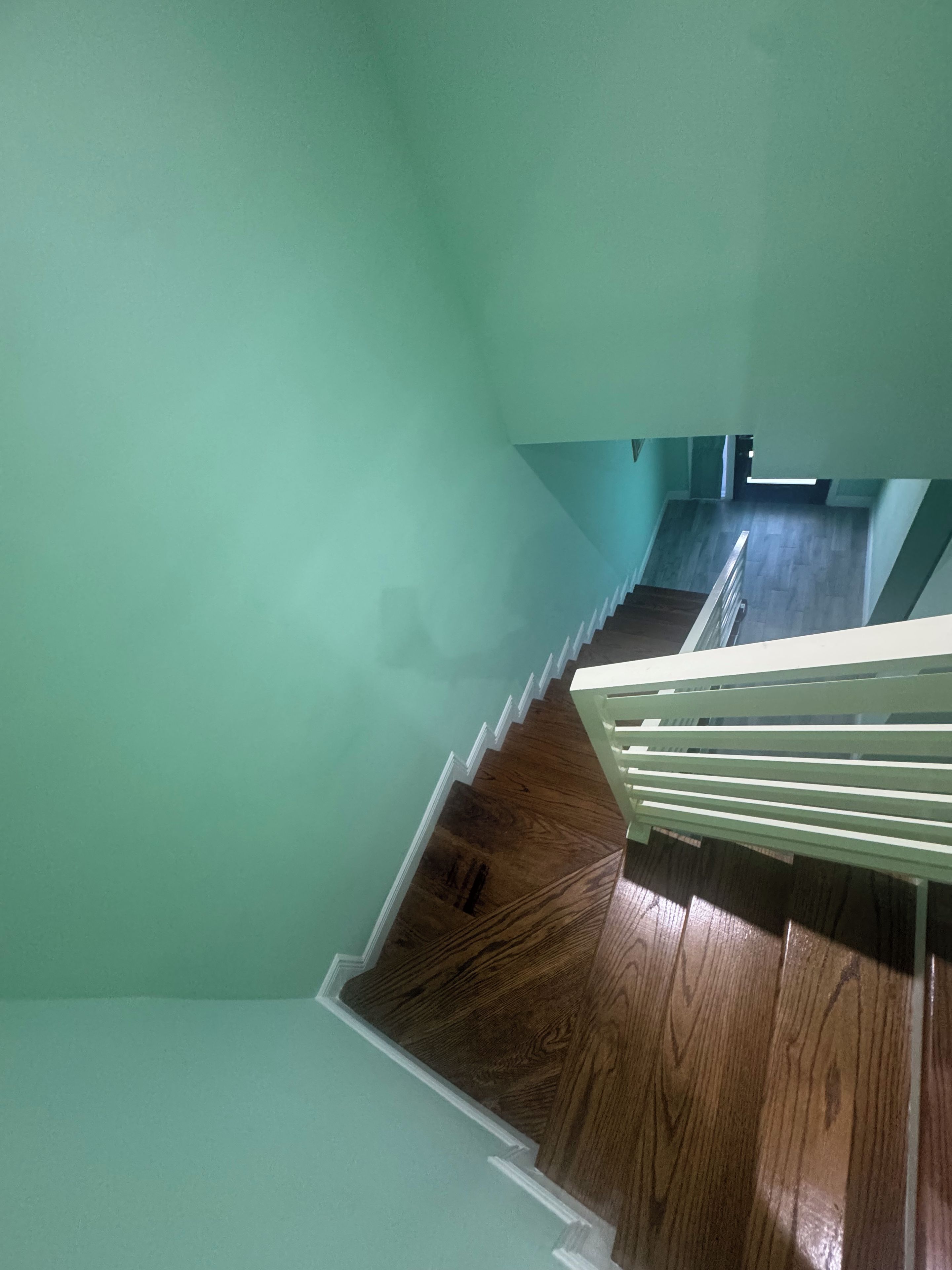 A staircase with wooden steps and white handrails, leading to a landing with a light switch and a door.