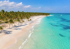 Una playa con aguas turquesas cristalinas y una hilera de palmeras.