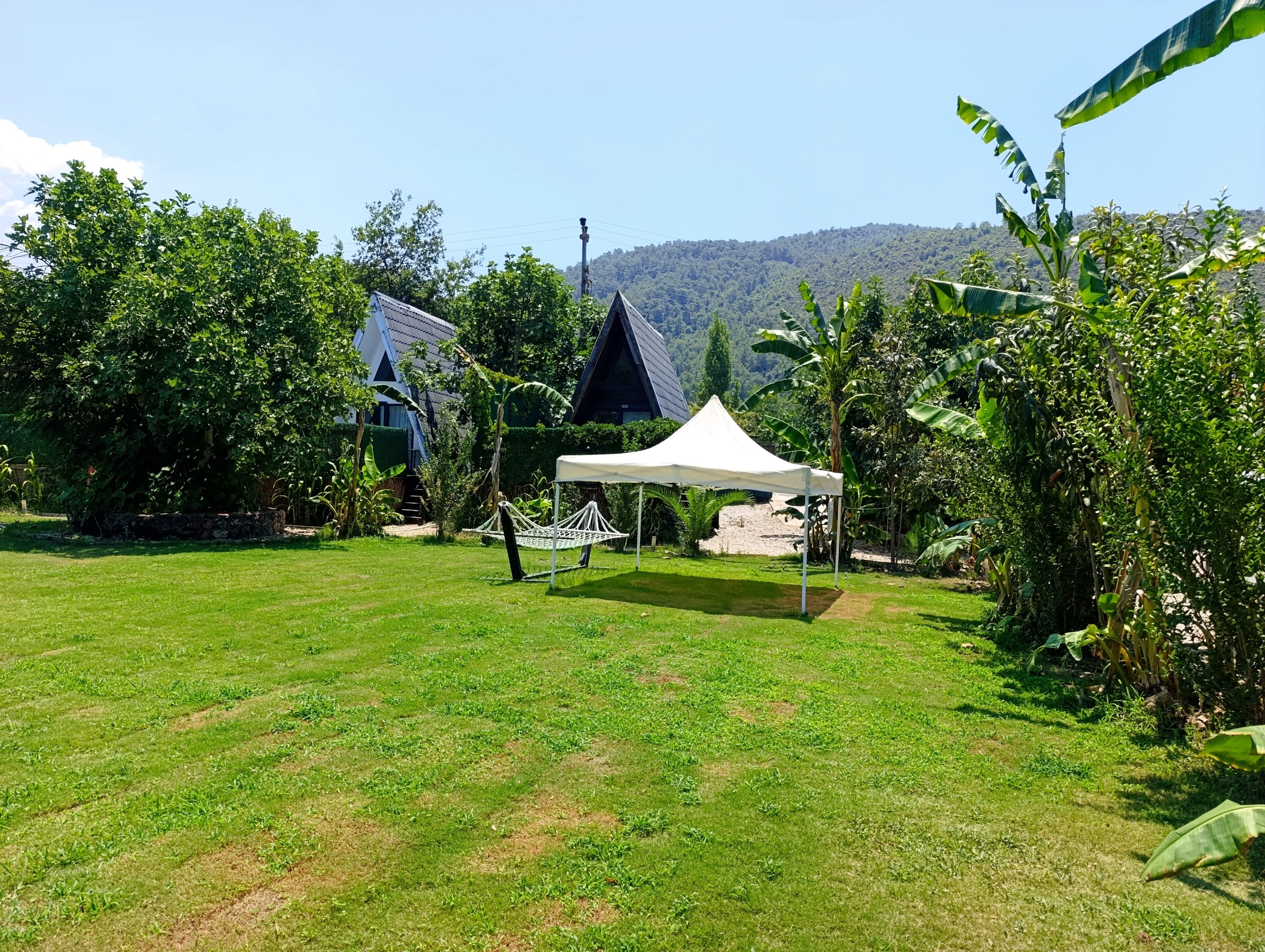 Classic Bungalow, Patio, Garden View | Property grounds