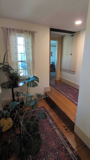 A hallway with a patterned rug, a potted plant, and a window with curtains. - Perfectly Appointed Spacious 3-bedroom Country Estate in quaint Hancock (Hancock)