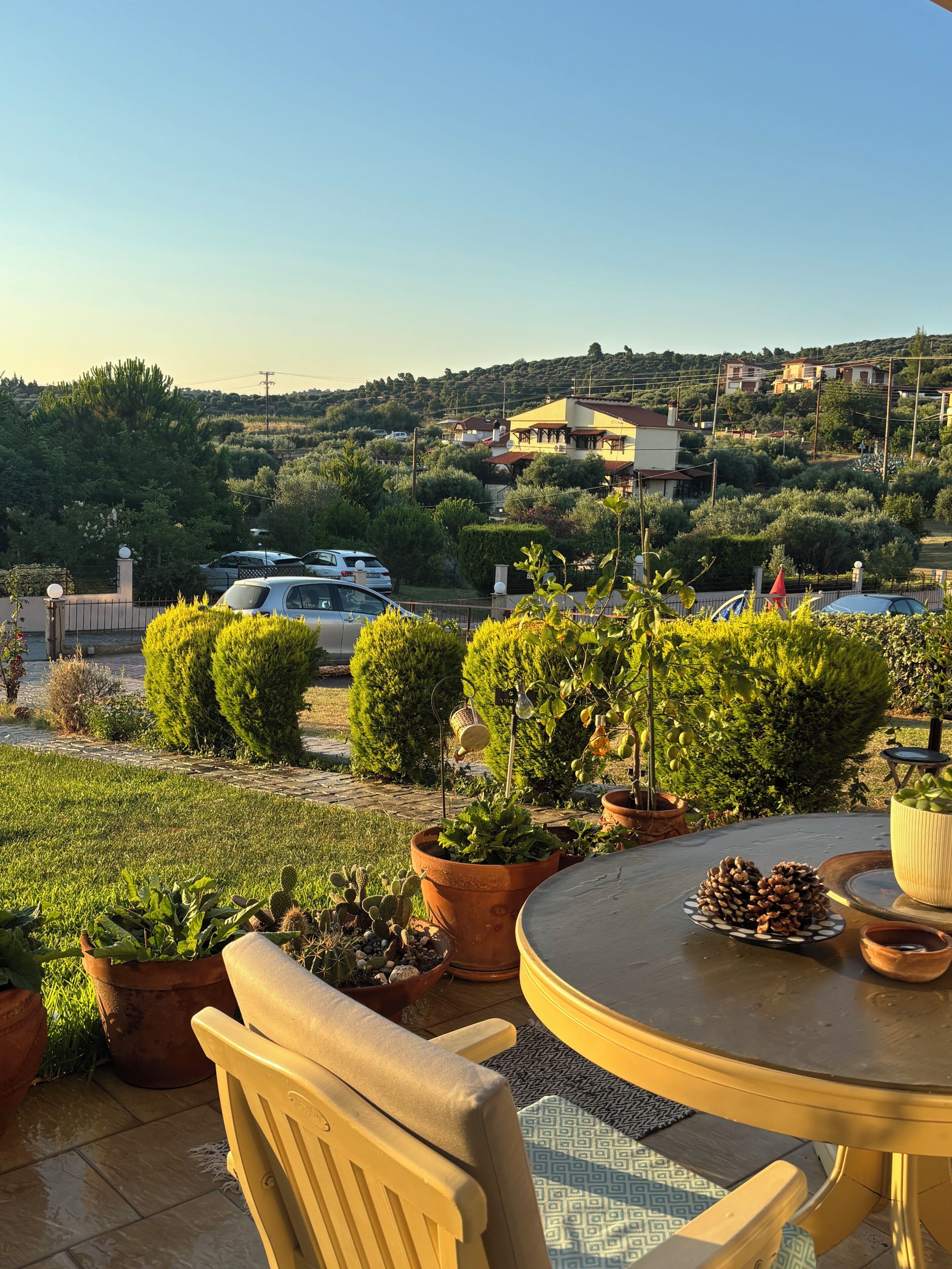 A patio with a round table, chairs, potted plants, and a view of houses and cars in the background.
