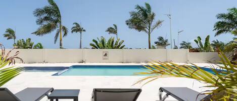 A swimming pool with lounge chairs and palm trees.