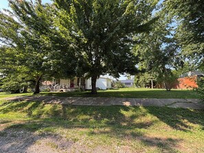 Un quartier résidentiel avec un grand arbre, une pelouse verdoyante et un trottoir menant à une maison.