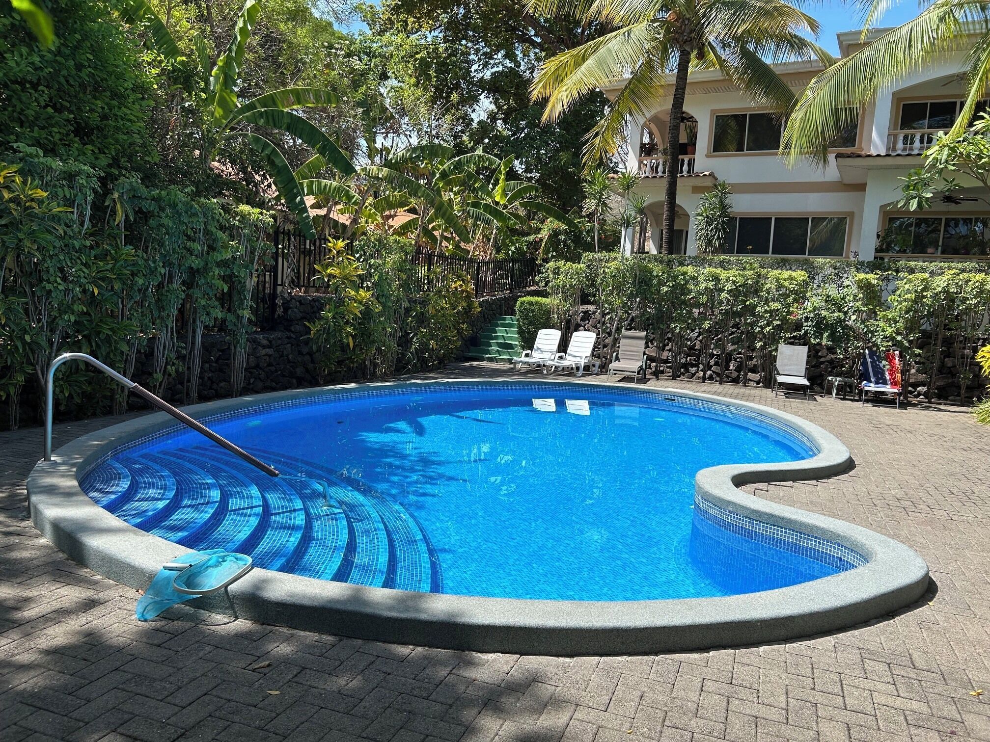 A swimming pool with a tiled edge, surrounded by greenery and a building with balconies.