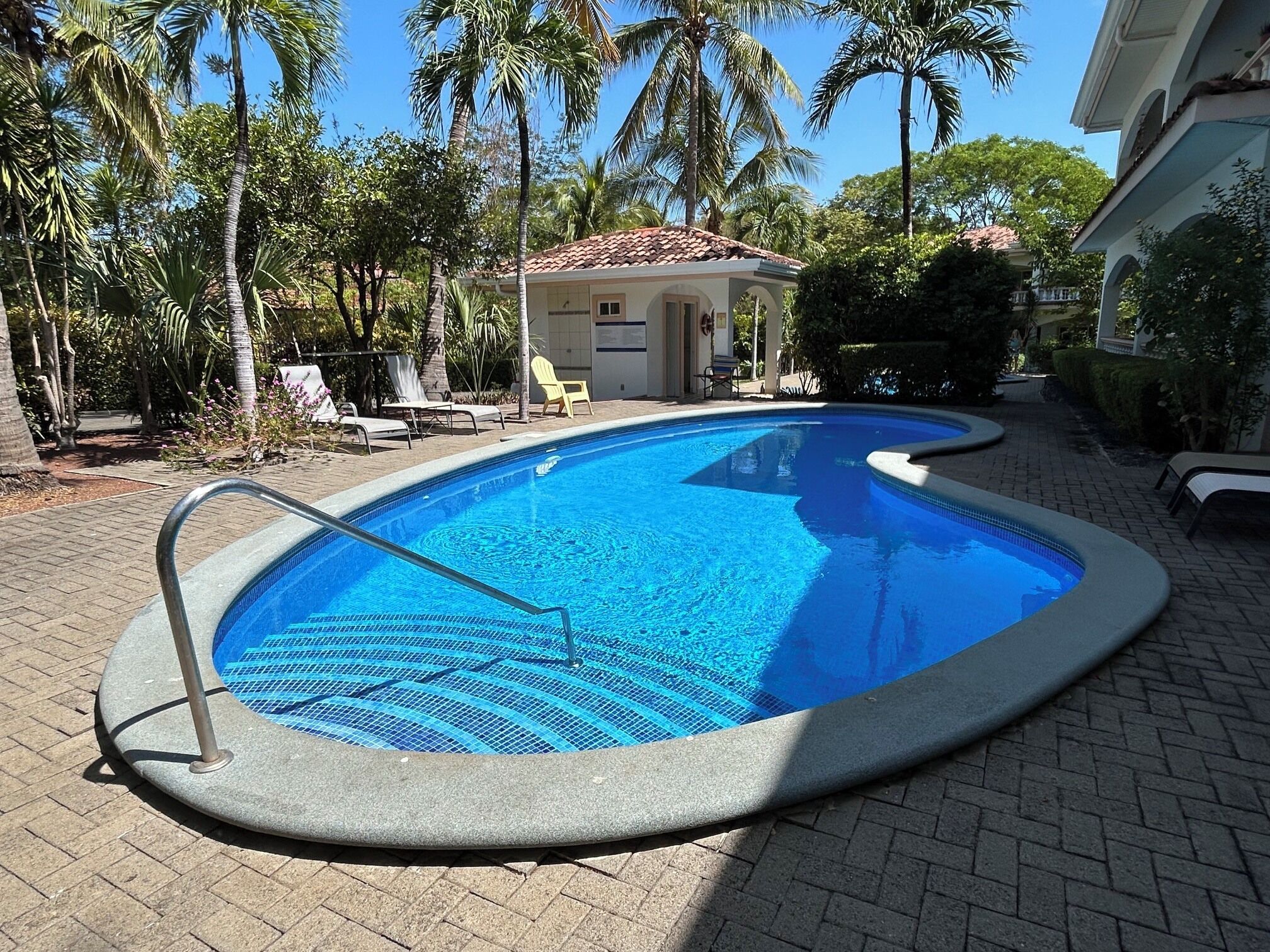 A swimming pool with a tiled deck, surrounded by palm trees and lounge chairs.