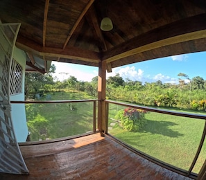 House, Balcony, Garden View | Balcony view