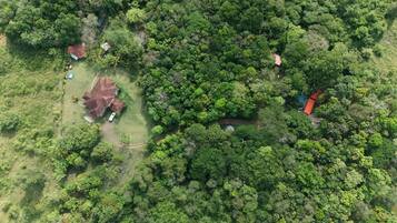 An aerial view of a forested area with scattered buildings, some with red roofs, and a clear path through the greenery.