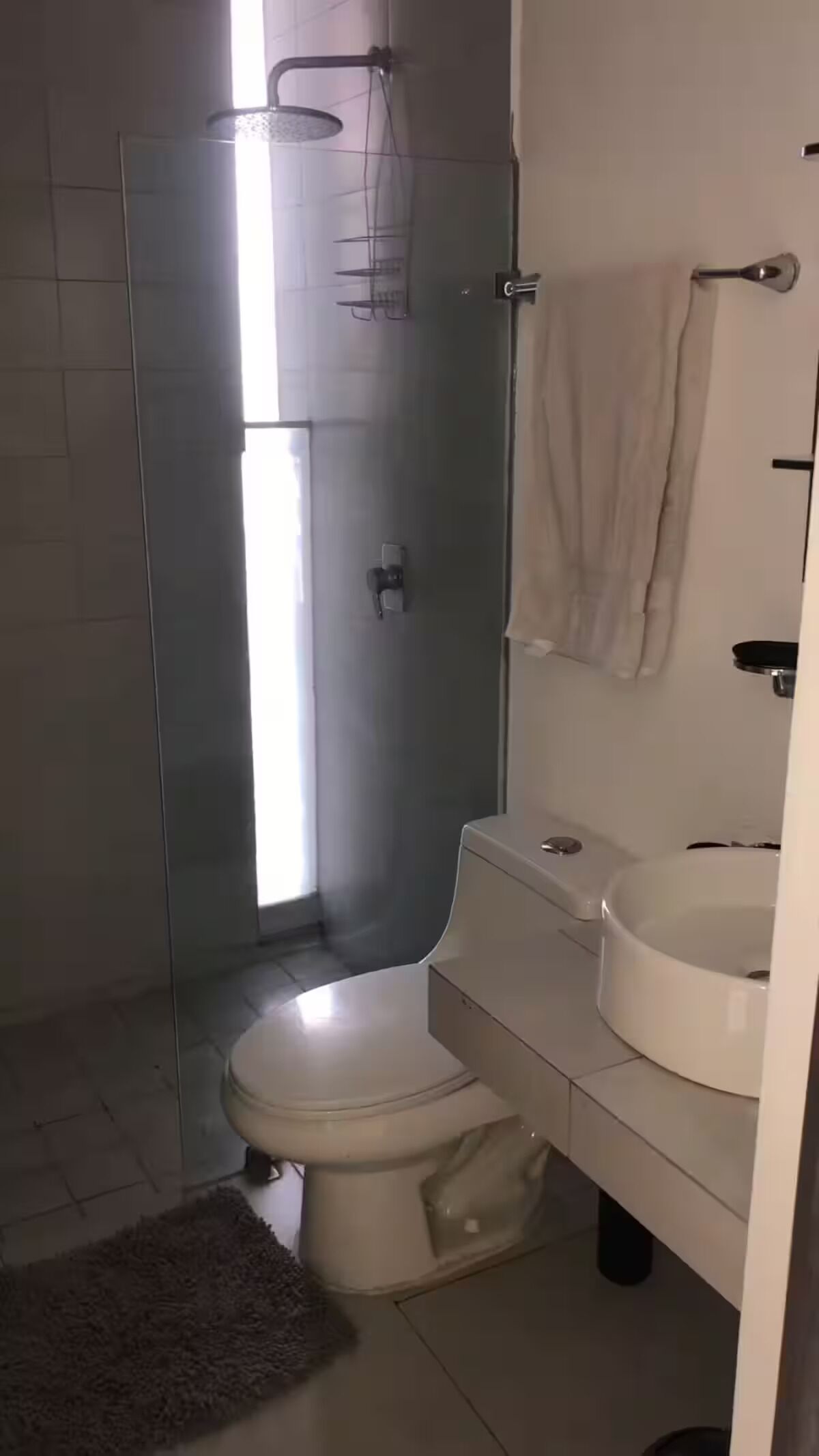 A modern bathroom with a glass shower enclosure, a toilet, and a sink.