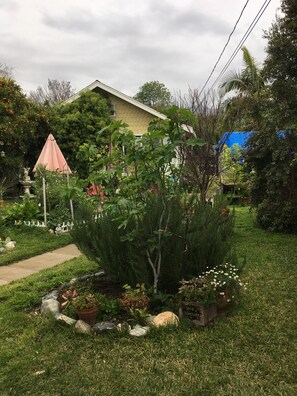 A garden with a variety of plants, a pathway, and a house in the background. - Cozy 1-bedroom house in peaceful Monrovia with AC. Walk to historic Myrtle Ave. (Monrovia)