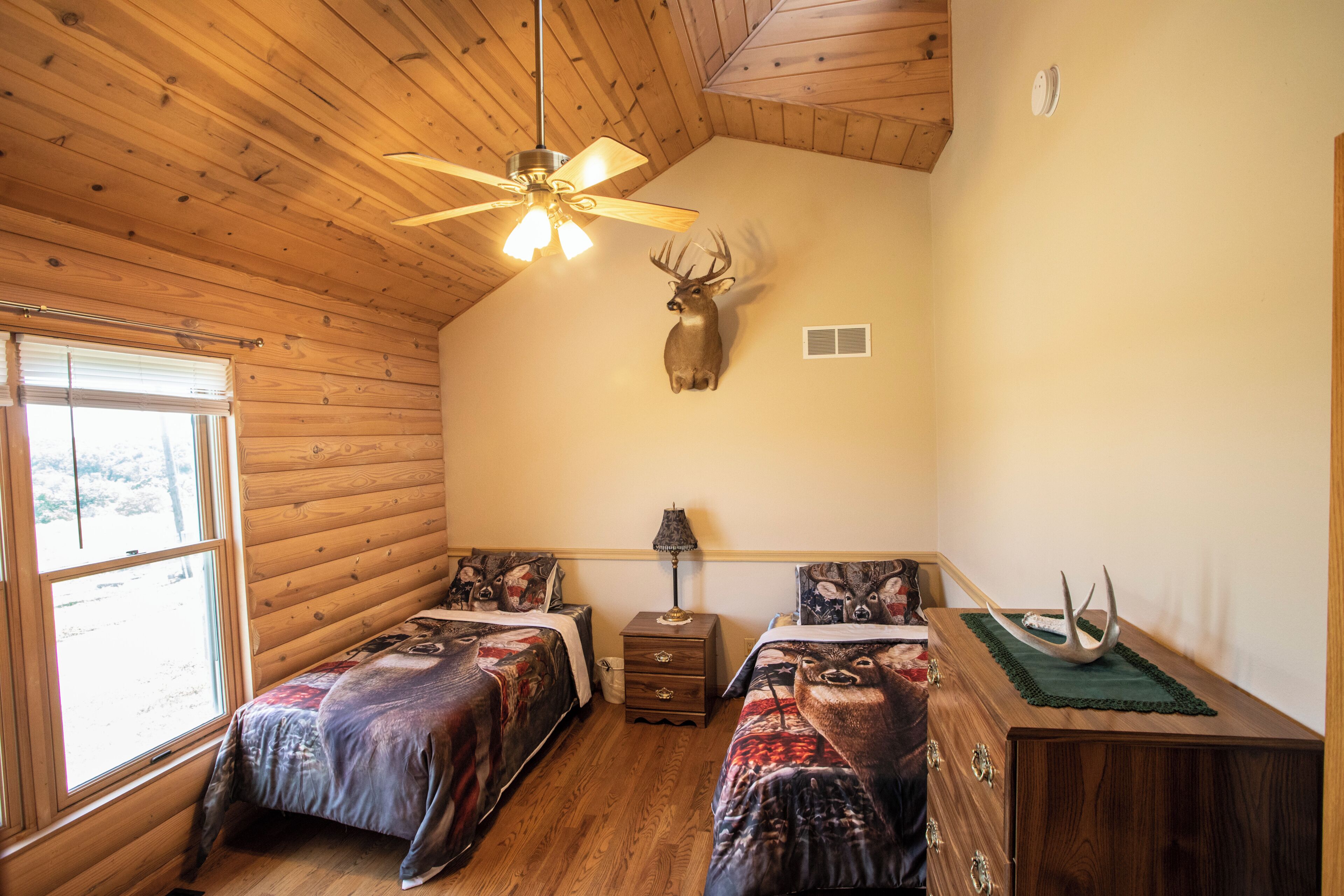 A cabin with two beds, a ceiling fan, a mounted deer head, and a window.