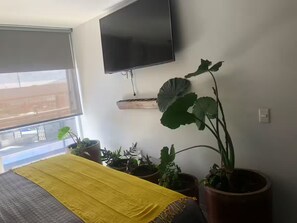 A bedroom with a bed, a TV mounted on the wall, and several potted plants. - Departamento de Lujo Exclusivo, Vista y Literas. (tlajomulco de zuñiga)
