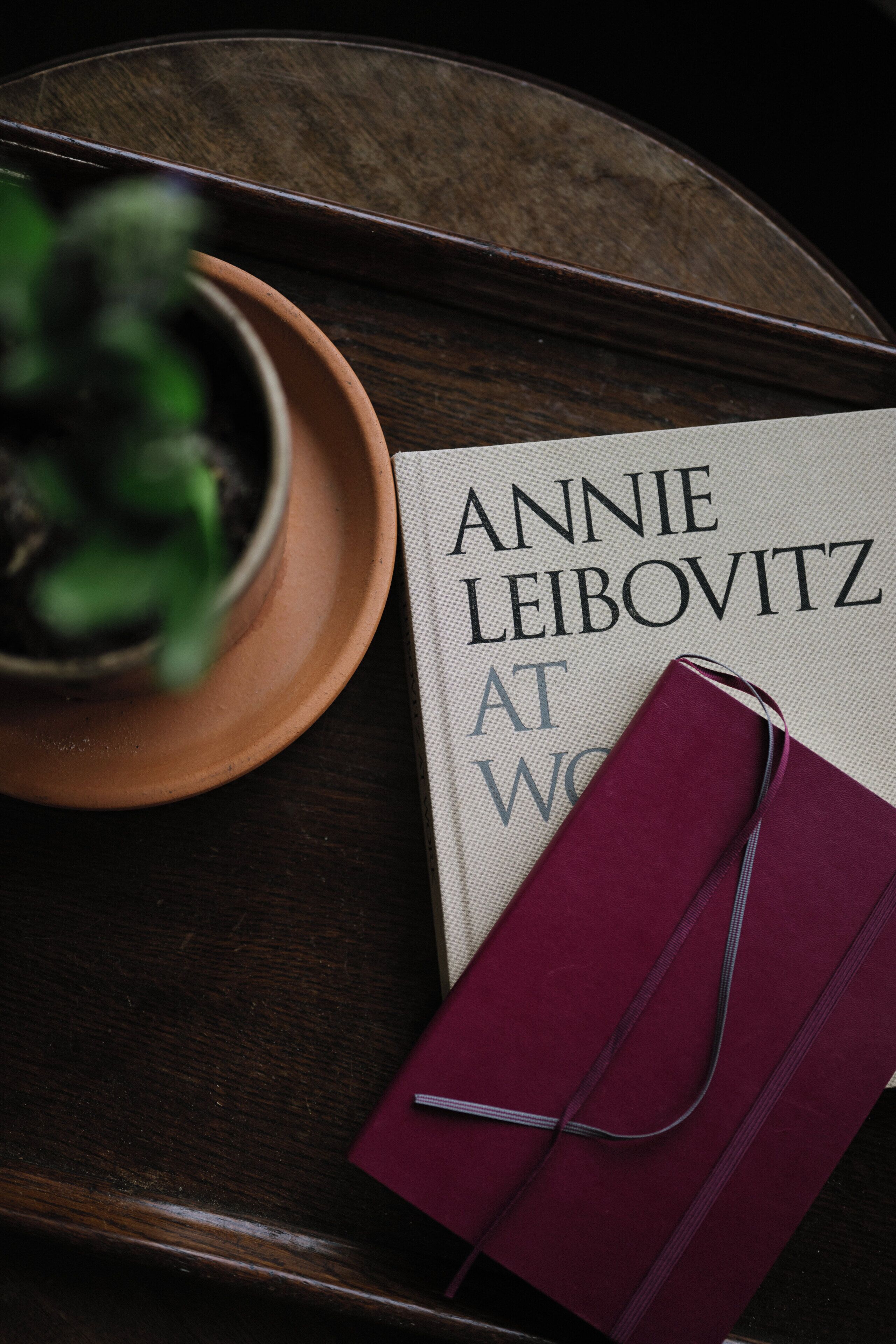 A book titled 'Annie Leibovitz at Work' on a wooden tray with a potted plant and a red notebook.