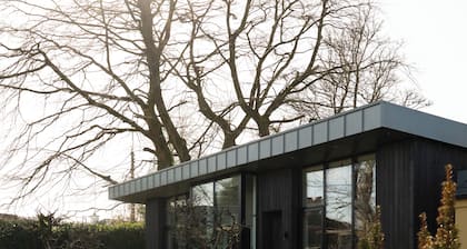 Modern architecture meets warm, eclectic comfort with a dash of Irish charm.