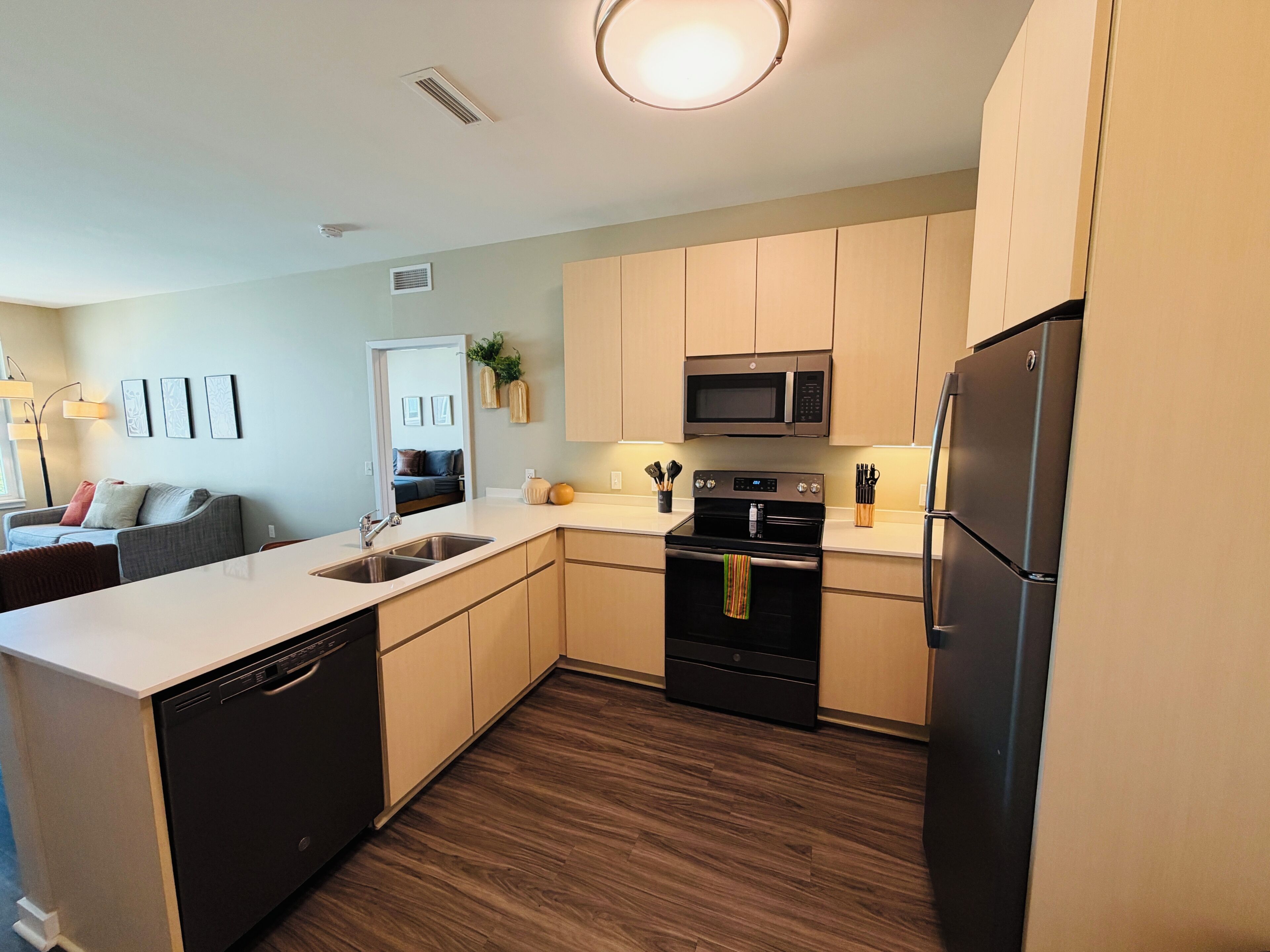 Deluxe Apartment | Private kitchen | Fridge, microwave, oven, stovetop