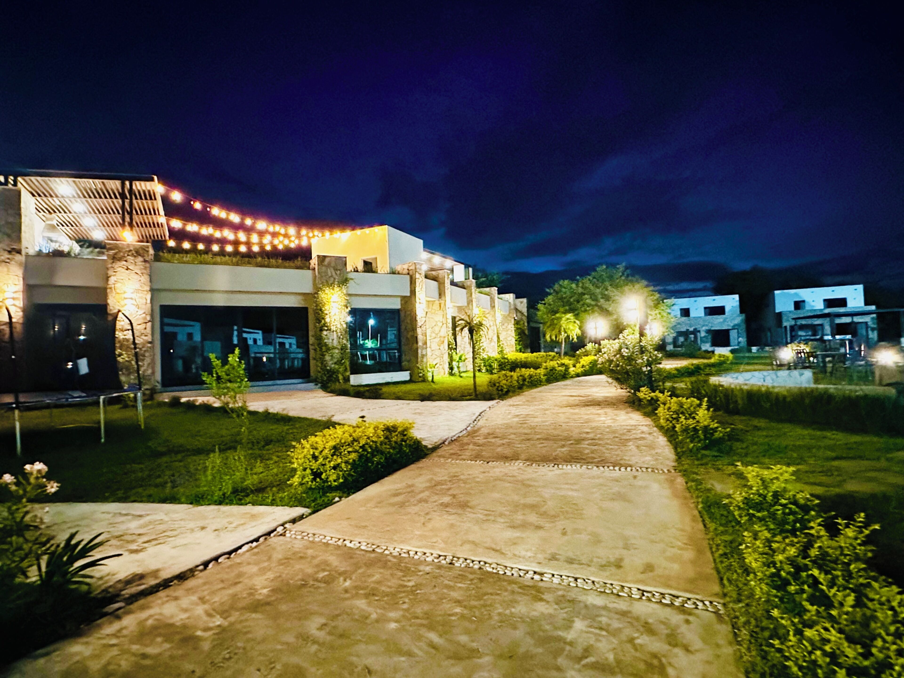 A modern building with a paved walkway leading to the entrance, surrounded by greenery and illuminated by string lights.