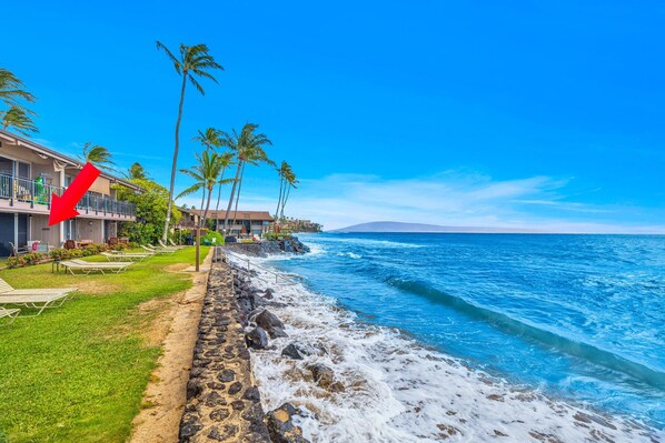 A beachfront hotel with a stone walkway leading to the ocean, palm trees, and a clear blue sky. - Beachfront at The Pikake, ocean views (Lahaina)
