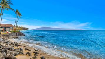 A beach with a rocky shoreline, palm trees, and a building with a view of the ocean.