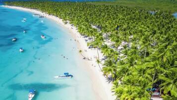 A beach with clear turquoise waters, a row of palm trees, and several boats.