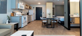 Vassar Flats Fully Furnished Extended Stay