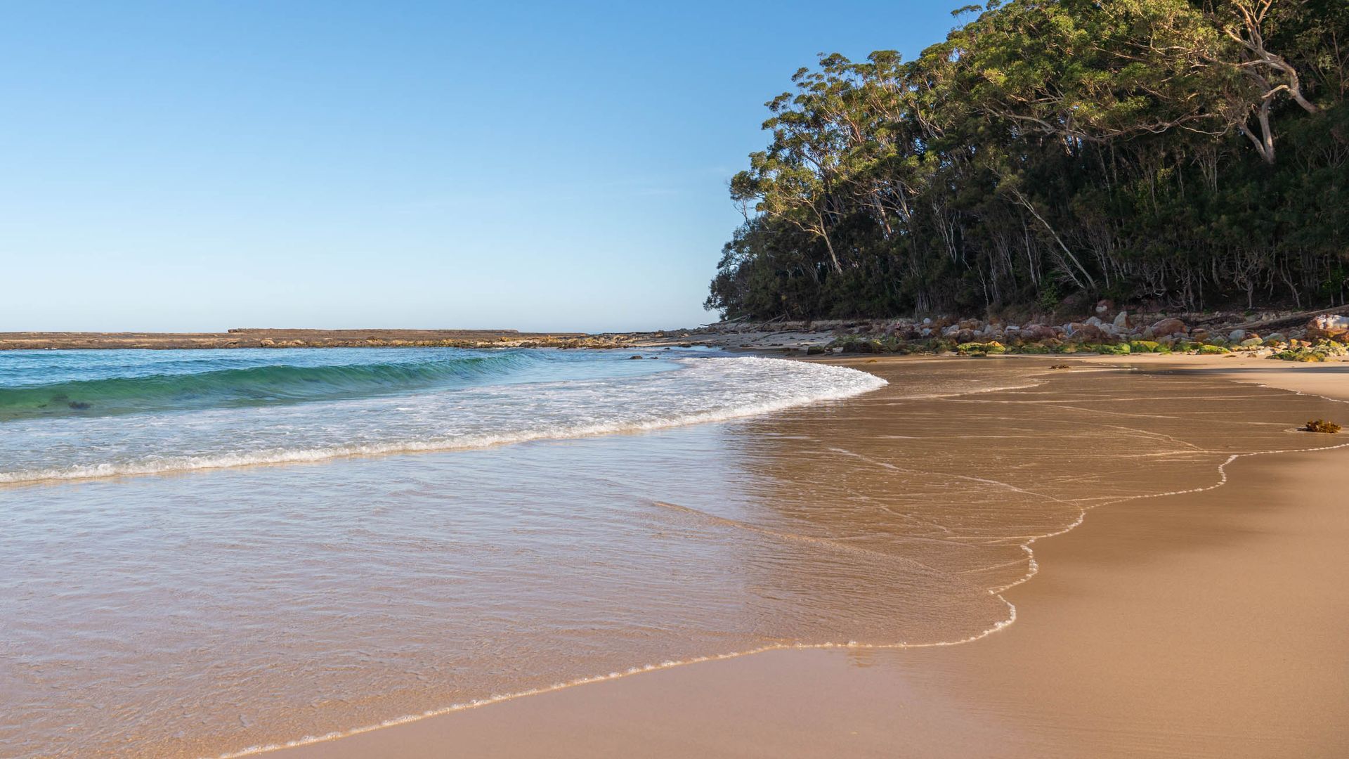Ein Strand mit klarem Wasser, sandigem Ufer und dichter Baumlandschaft im Hintergrund.