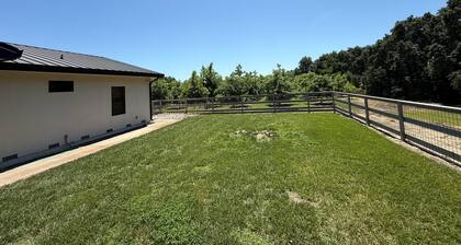 3-bedroom house on 10 acres in Colusa, the heart of great hunting and fishing.