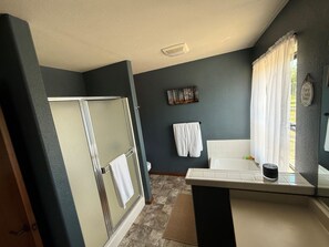 Shower, towels, soap, toilet paper