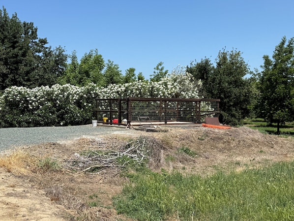 Un espace extérieur clos, doté d’un chemin de gravier et entouré de verdure et d’arbres.