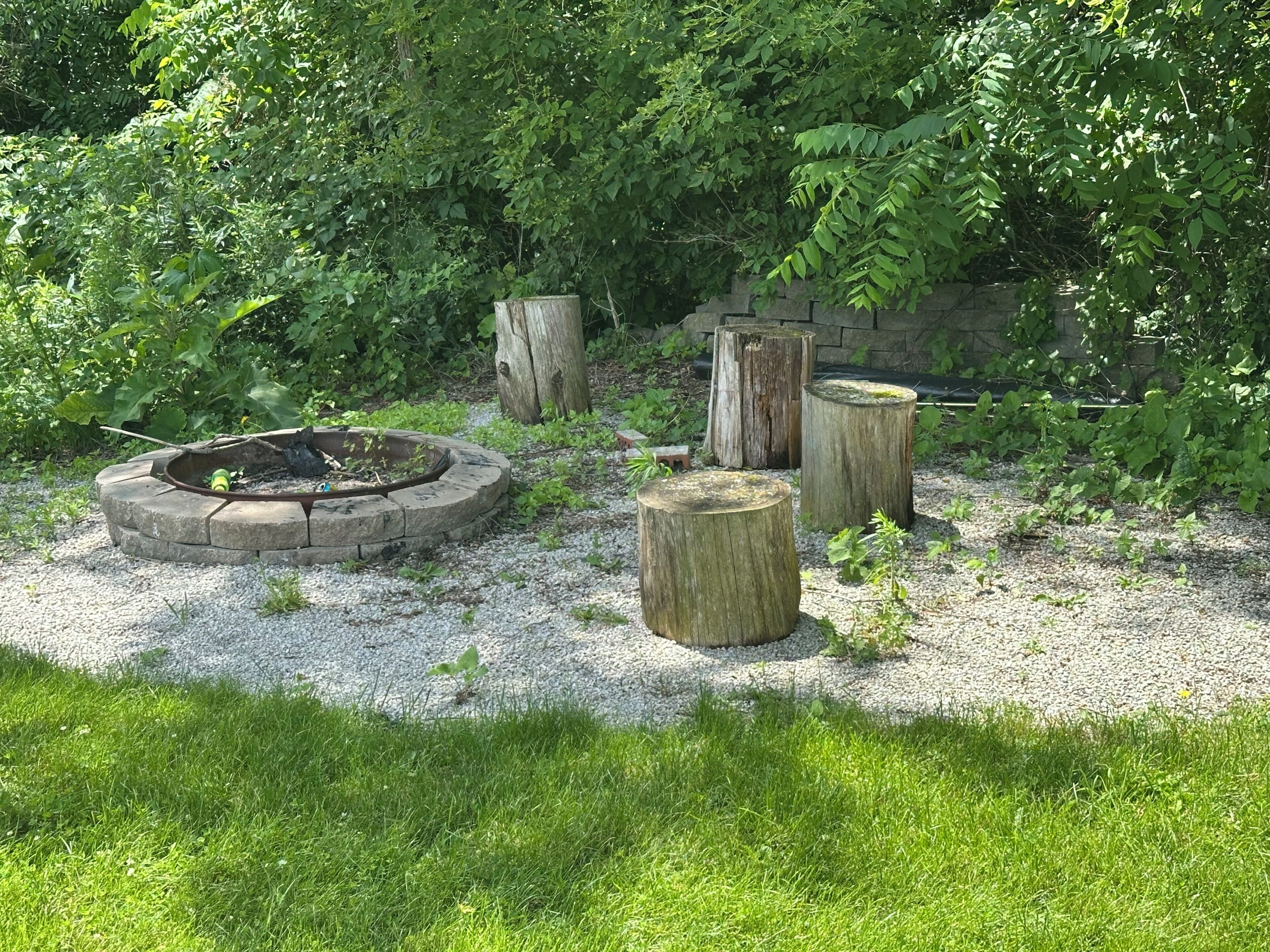 Un jardin avec un foyer circulaire en pierre, entouré de gravier, de trois souches d’arbres et d’un feuillage dense en arrière-plan.