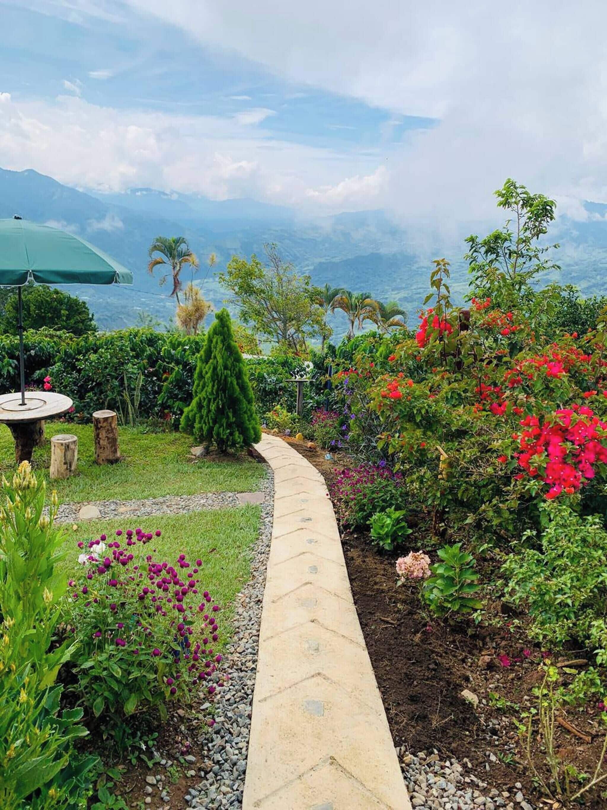 Un sendero en un jardín con vistas a montañas, rodeado de plantas y flores diversas.