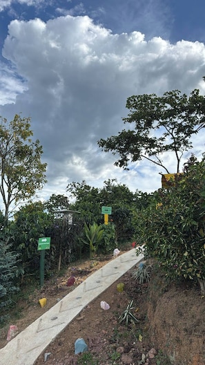 A pathway leading through a garden with various plants and trees, and directional signs. - Cabaña el Sol Medellin (Titiribí)