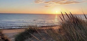 En strandscen med solen som går ner över havet, gräs i förgrunden och en klar himmel.