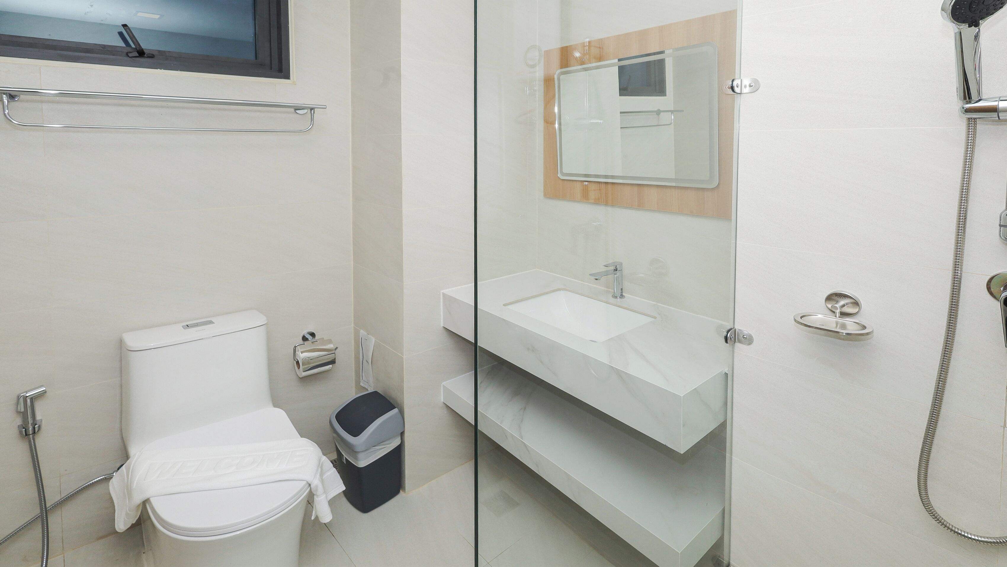 A modern bathroom with a glass shower enclosure, a white sink, and a toilet.