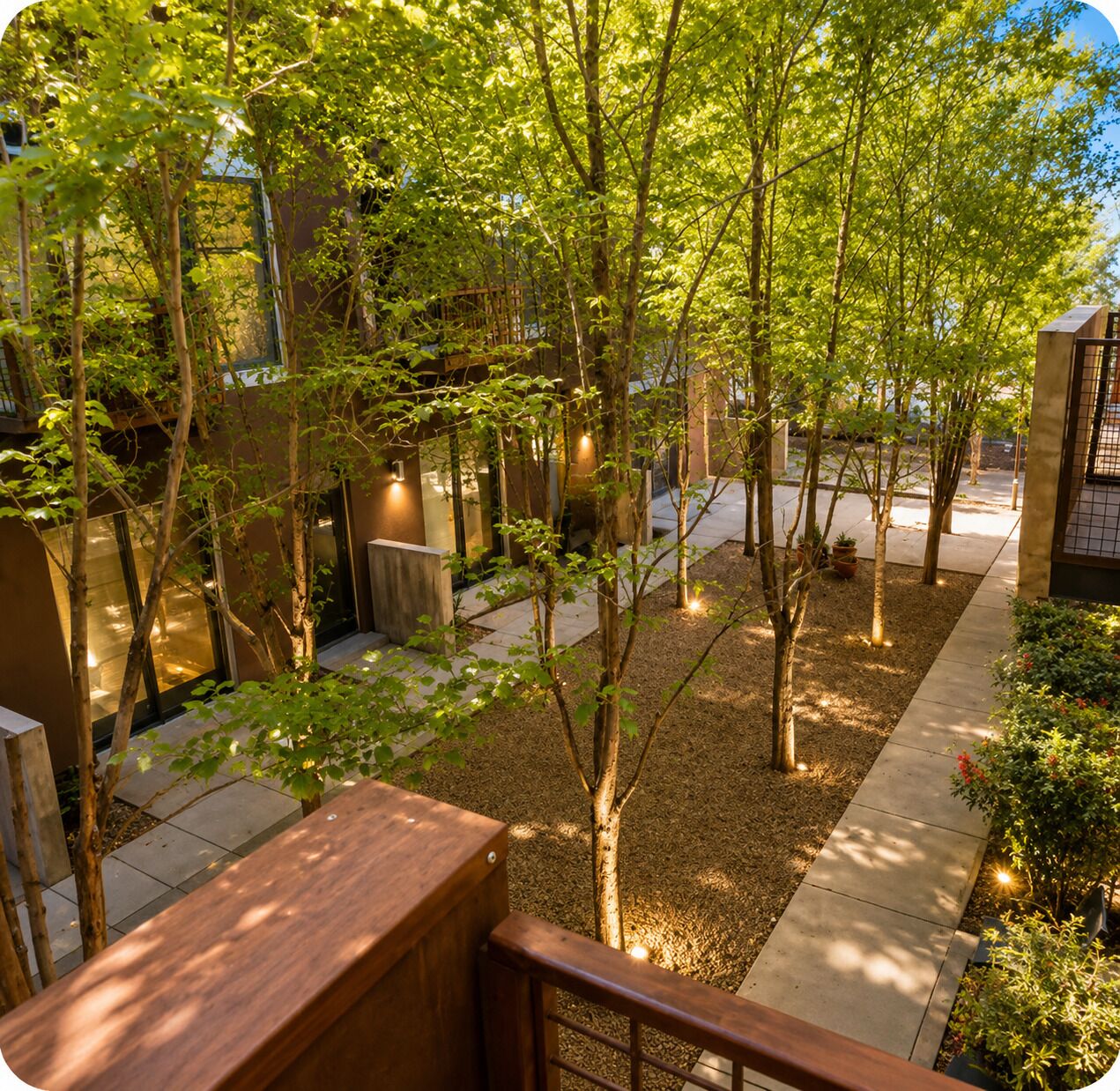 A courtyard with trees, a pathway, and a building with a glass facade.