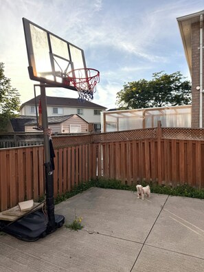 A basketball hoop in a backyard with a wooden fence and a dog. - Beautiful 3BR semi detached (entire) home in Brampton (Brampton)