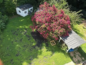 Une petite maison avec un abri de jardin, entourée d’une pelouse bien entretenue et d’un arbuste en fleurs.