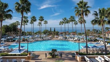 A resort pool area with lounge chairs and umbrellas, surrounded by palm trees.
