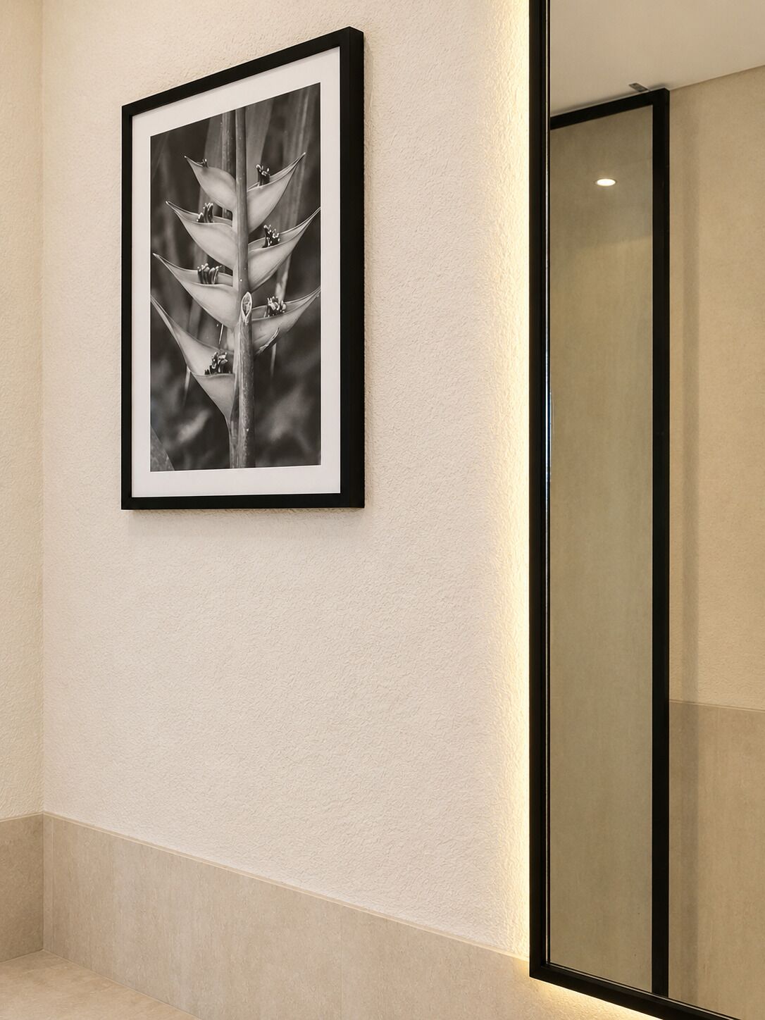 A framed black and white photograph of a plant on a textured wall.