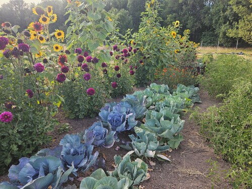 Cozy 1-bedroom farm guesthouse in beautiful Corvallis with AC