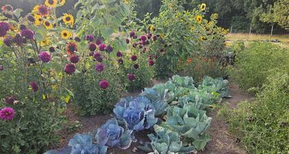 Cozy 1-bedroom farm guesthouse in beautiful Corvallis with AC