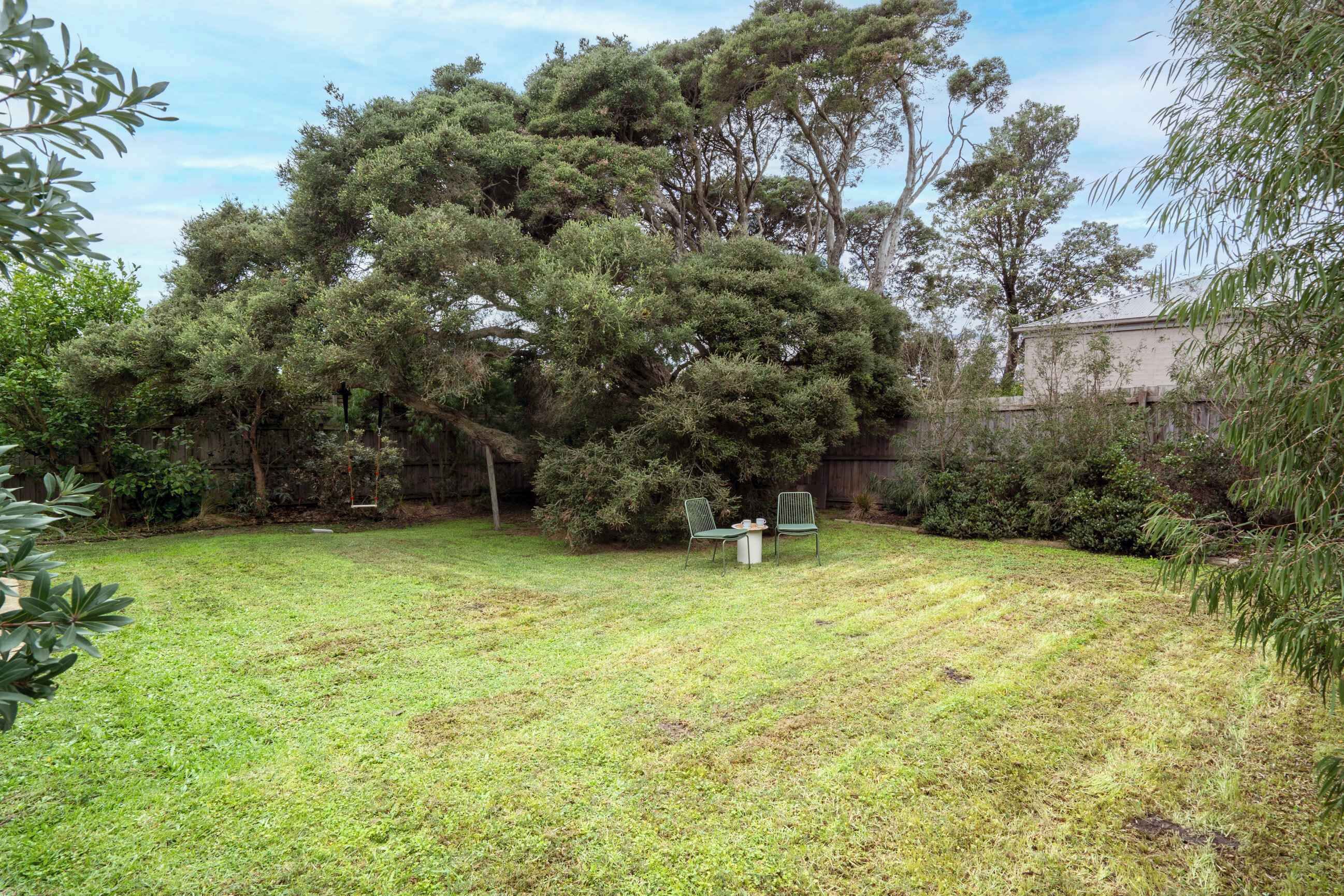 A backyard with a large tree, a grassy lawn, and two chairs.