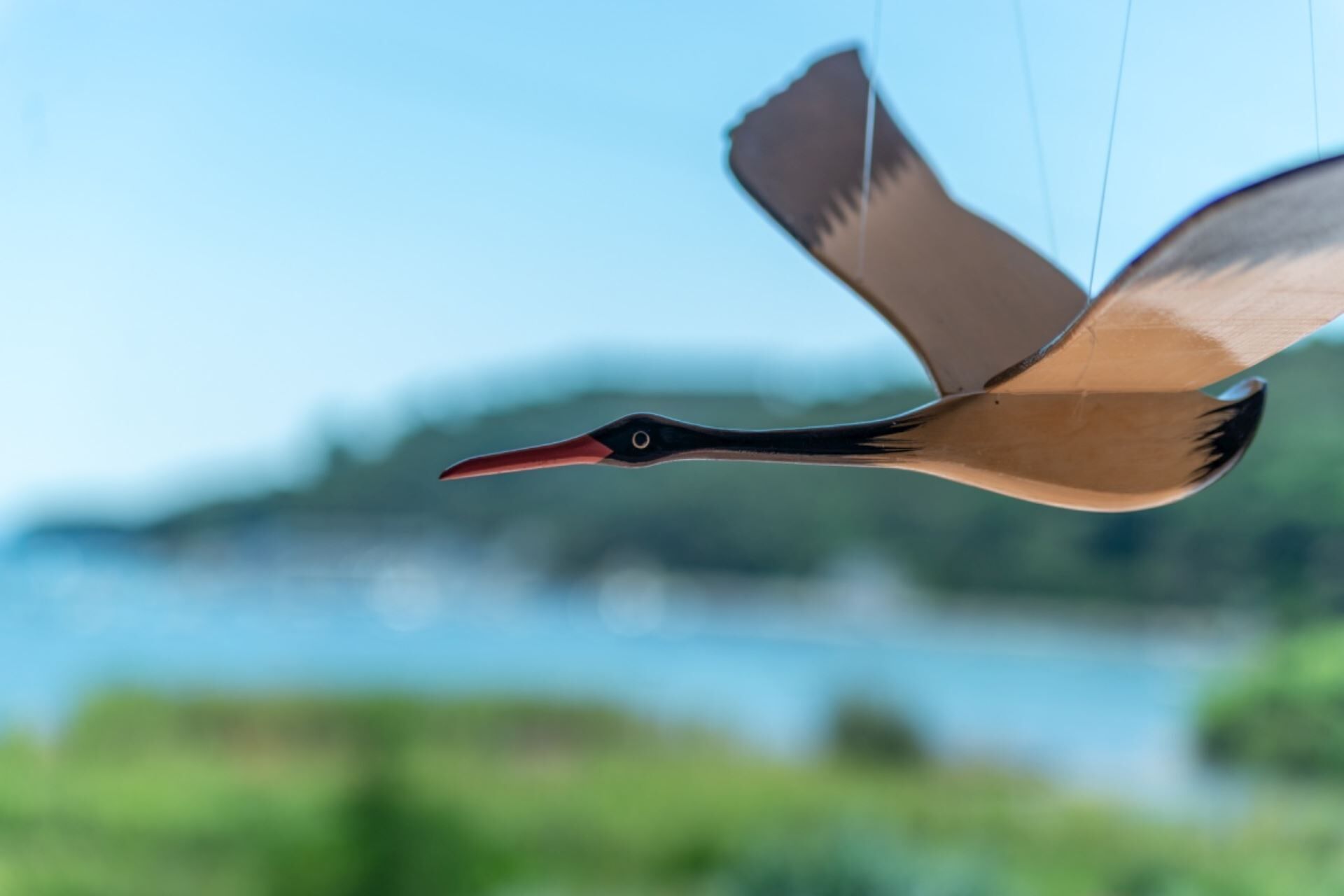 Un pájaro volando sobre un paisaje acuático difuminado.