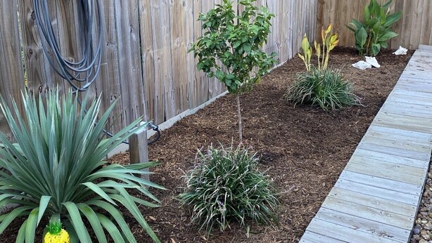 Un jardín con cerca de madera, mantillo y diversas plantas.