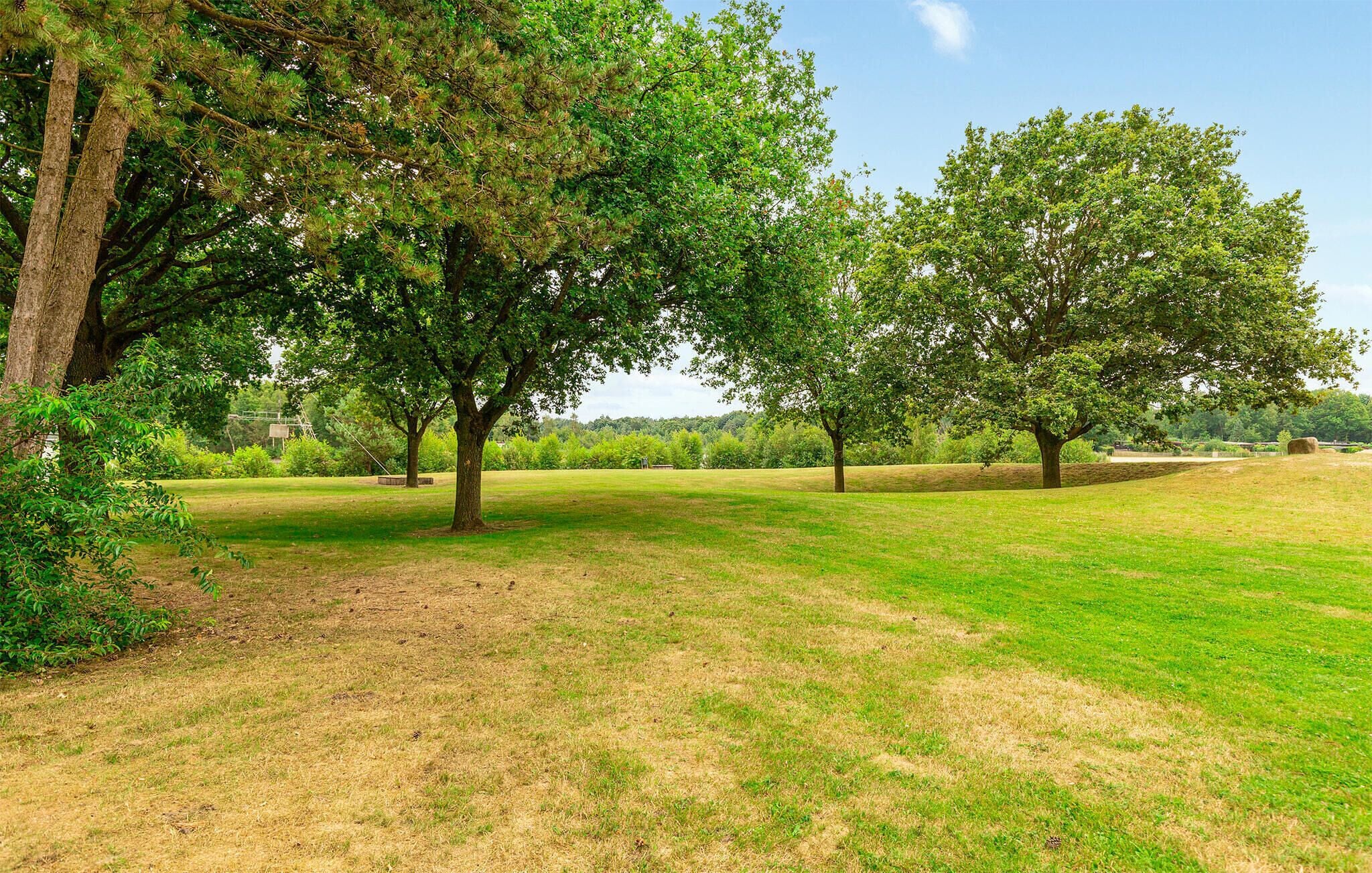 Eine grüne Wiese mit mehreren Bäumen und blauem Himmel.