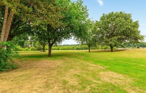 A grassy field with several trees and a clear sky.