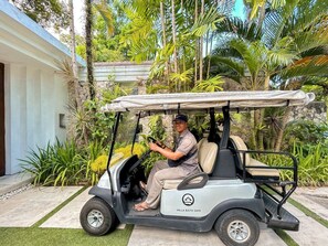 En golfvogn parkeret i et anlagt område med en stenvæg og tropiske planter i baggrunden.
