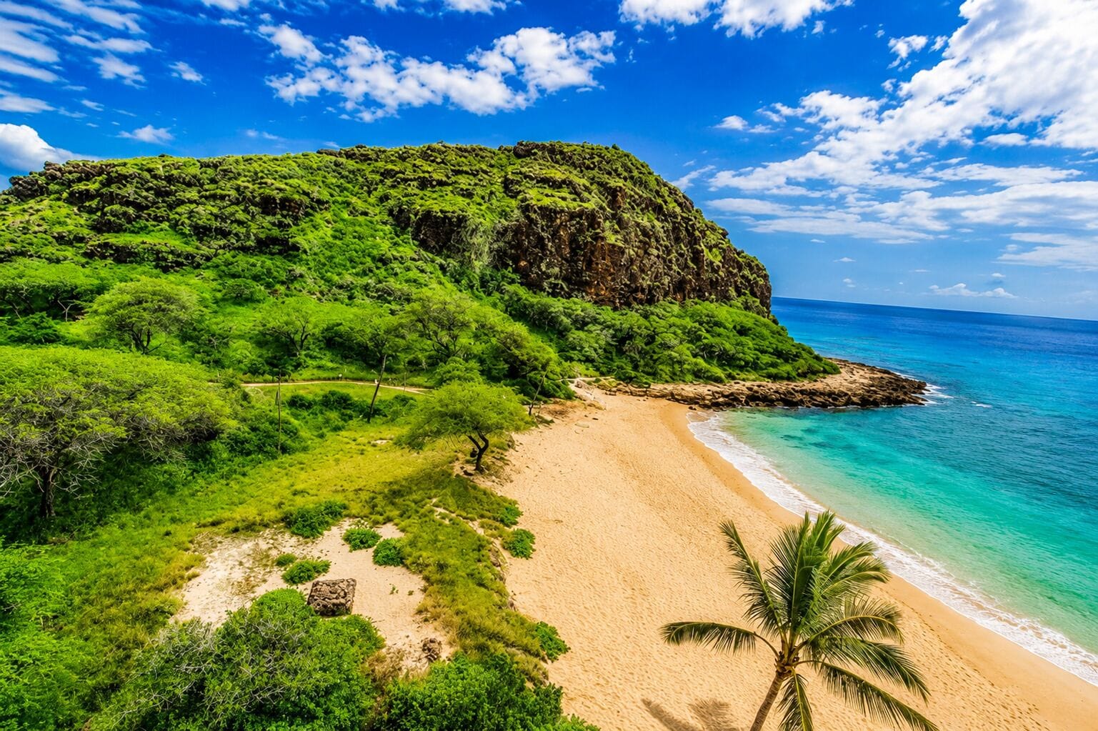 A beach with a clear view of the ocean, a sandy shore, and a lush green hill.