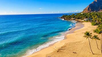 A beach with clear blue water, sandy shore, and palm trees.