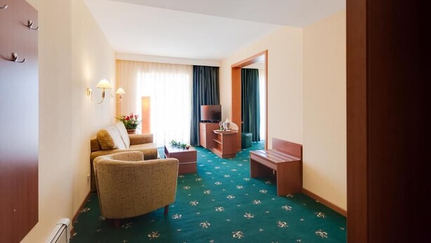 A hotel room with a sofa, armchair, TV, and a small table. - Hotel Palas (Constanța)