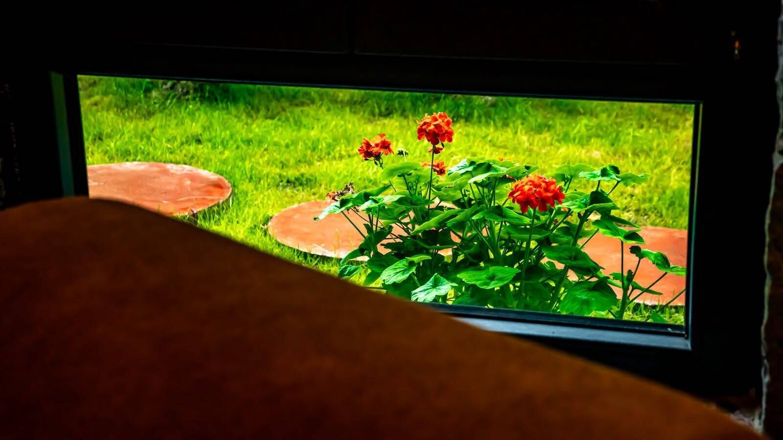 Un televisor mostrando una escena de jardín con flores rojas y follaje verde.